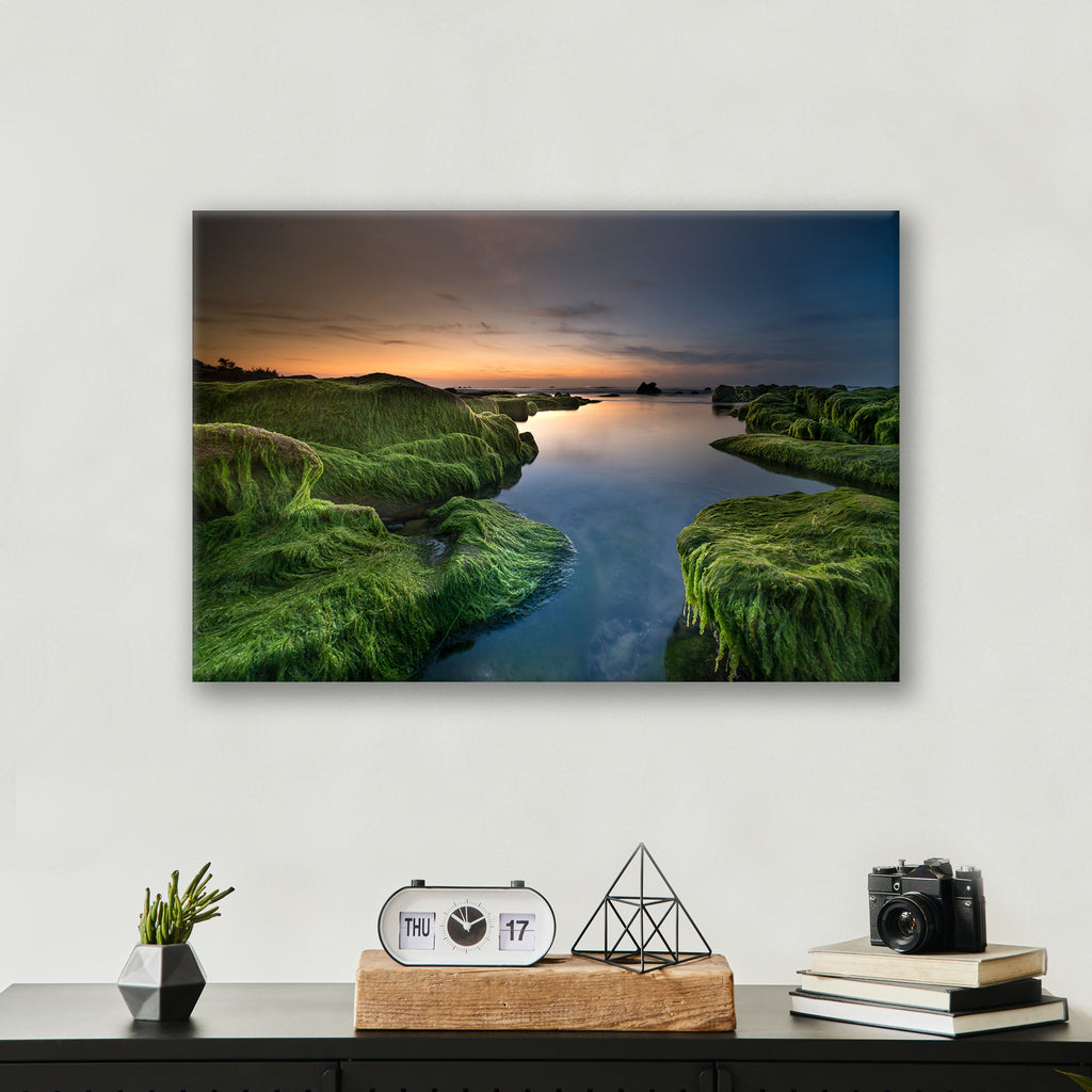 Mossy Beach - Print - MetalPlex