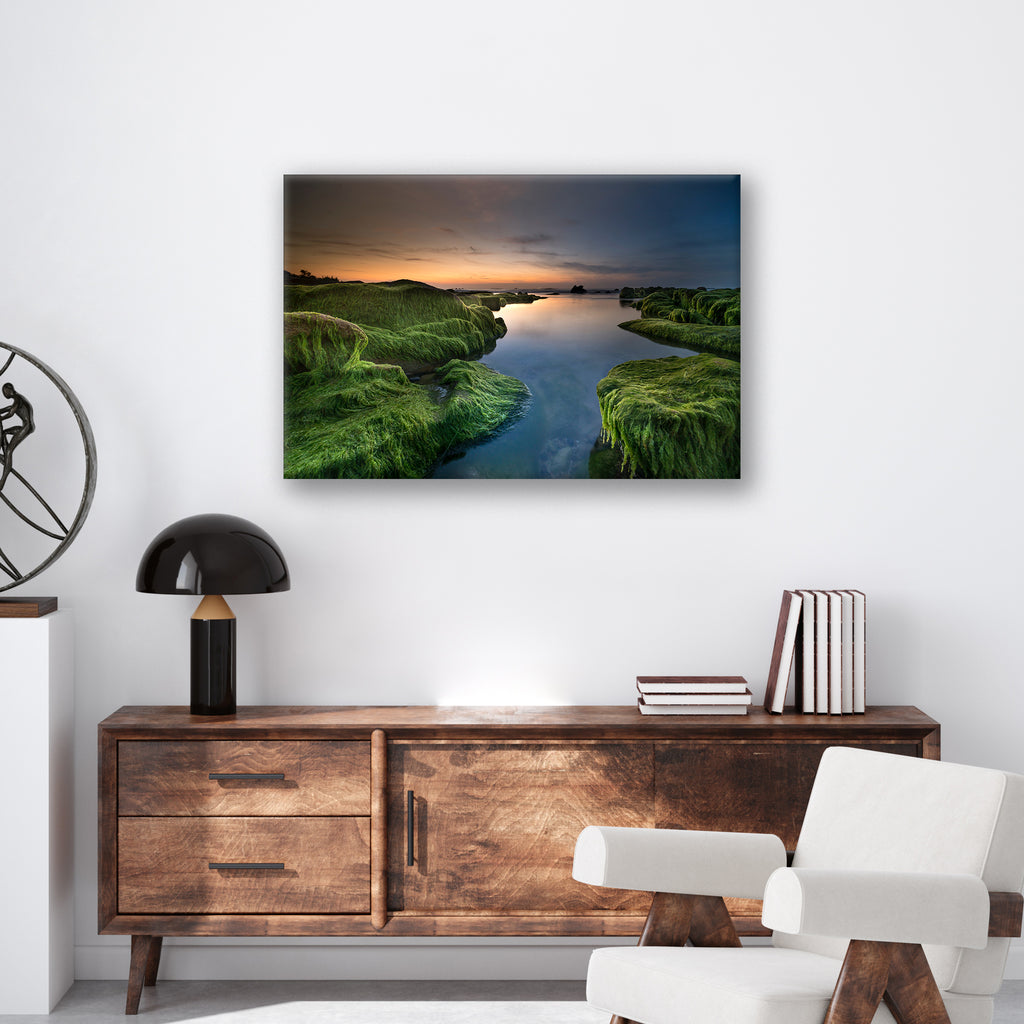 Mossy Beach - Print - MetalPlex