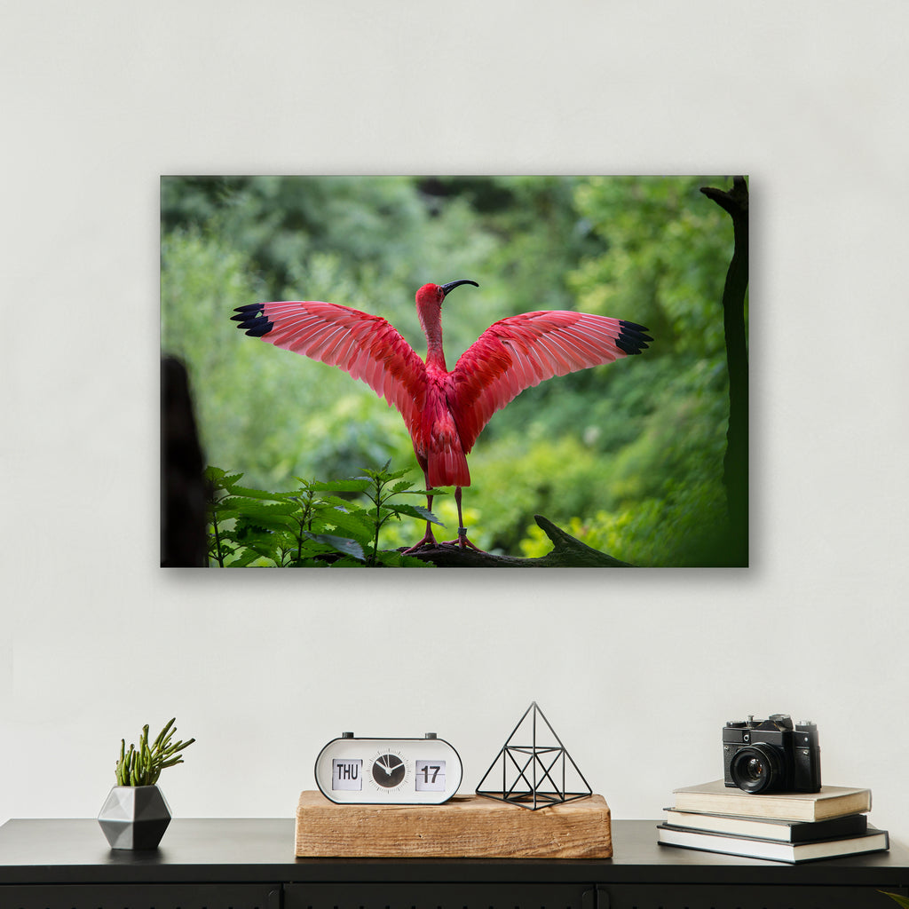 Pink Bird - Print - MetalPlex