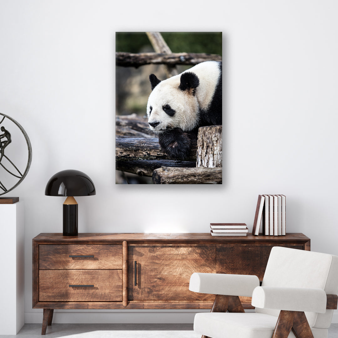 Pondering Panda - Print - MetalPlex