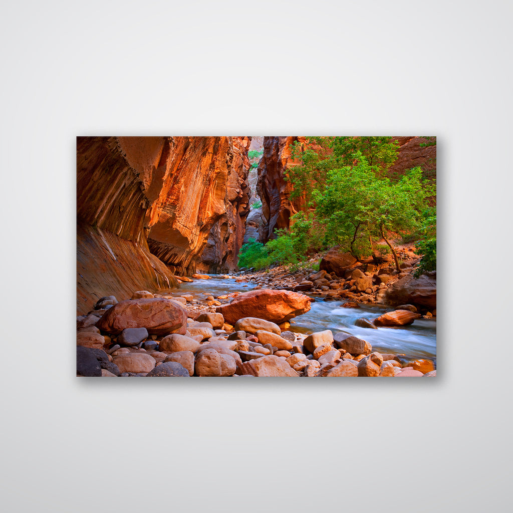 Virgin River, Zion National Park - Print - MetalPlex