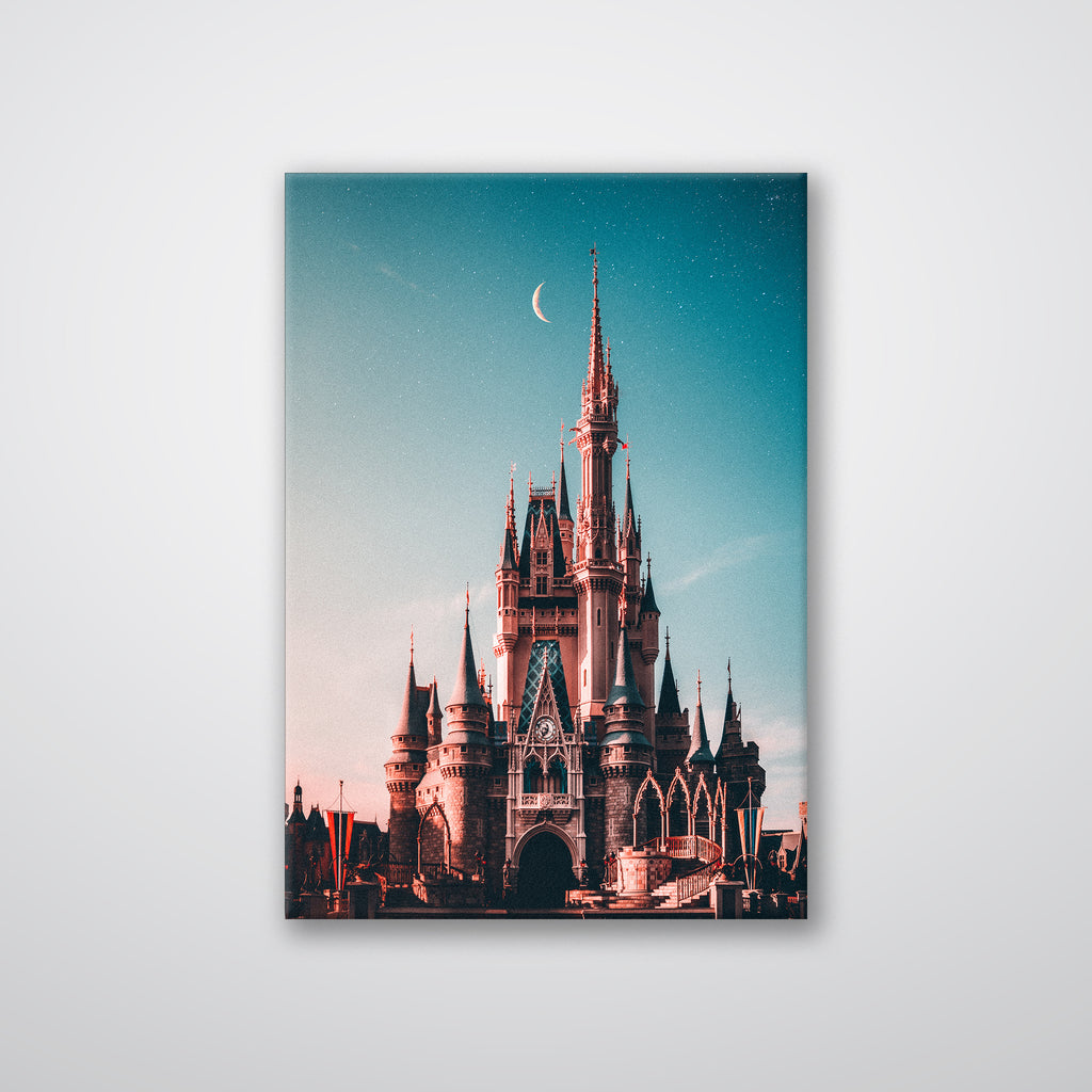 Walt Disney Castle - Print - MetalPlex