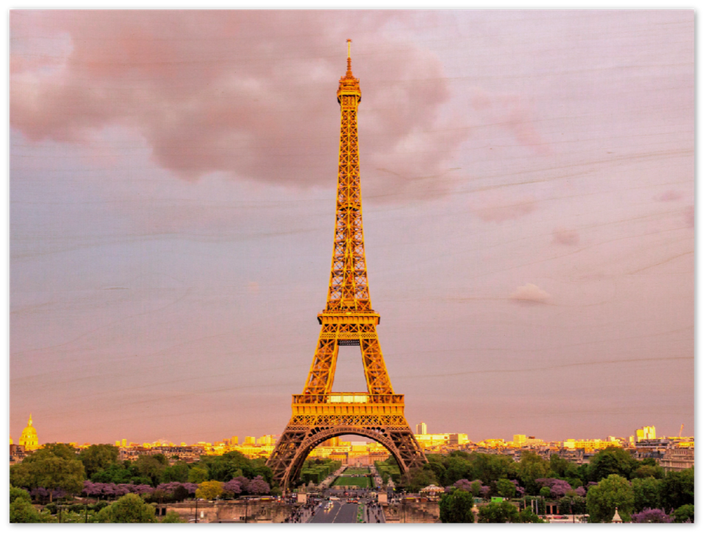 Eiffel Tower - Print - MetalPlex