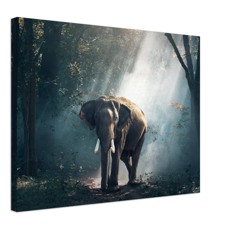 Elephant - Print - MetalPlex
