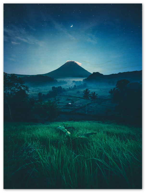 Grass Field Night - Print - MetalPlex