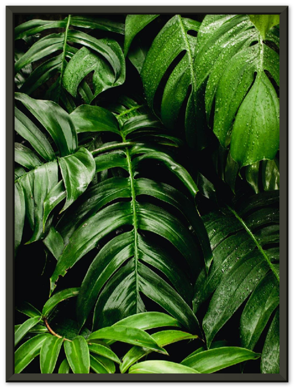 Green Leaves - Print - MetalPlex
