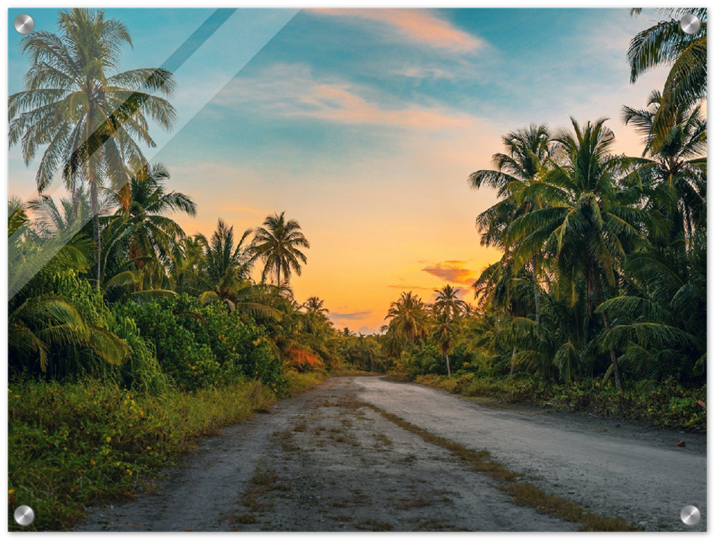 Hawaii Backroad - Print - MetalPlex