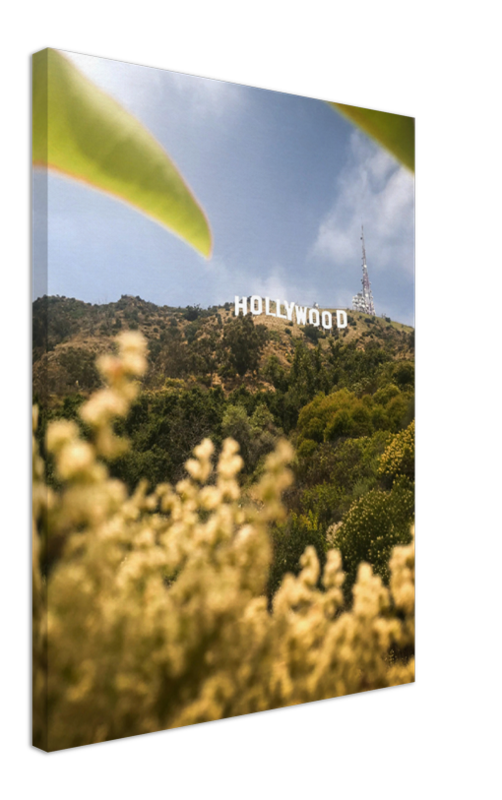 Hollywood - Print - MetalPlex