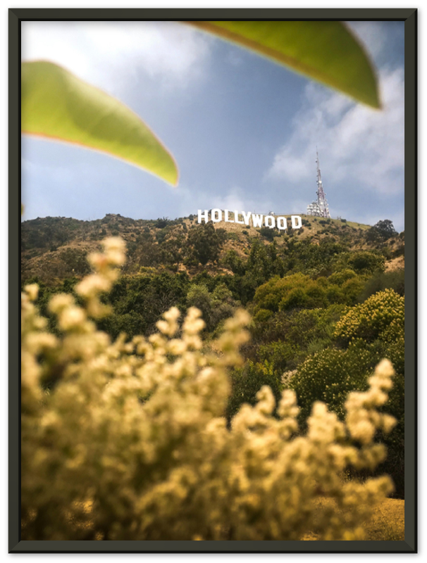 Hollywood - Print - MetalPlex