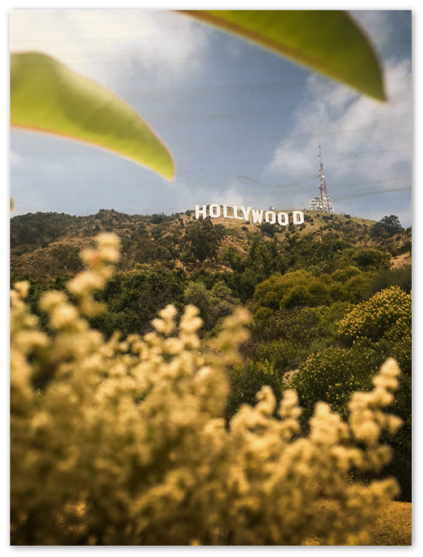 Hollywood - Print - MetalPlex