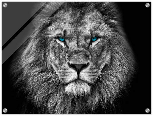 Lion Head - Print