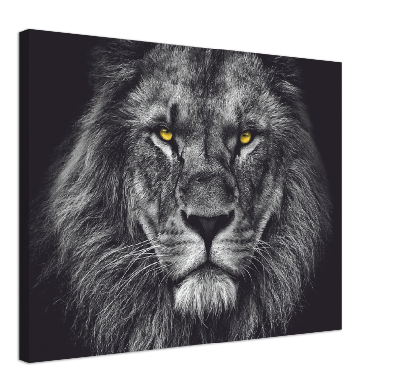 Lion Head - Print - MetalPlex