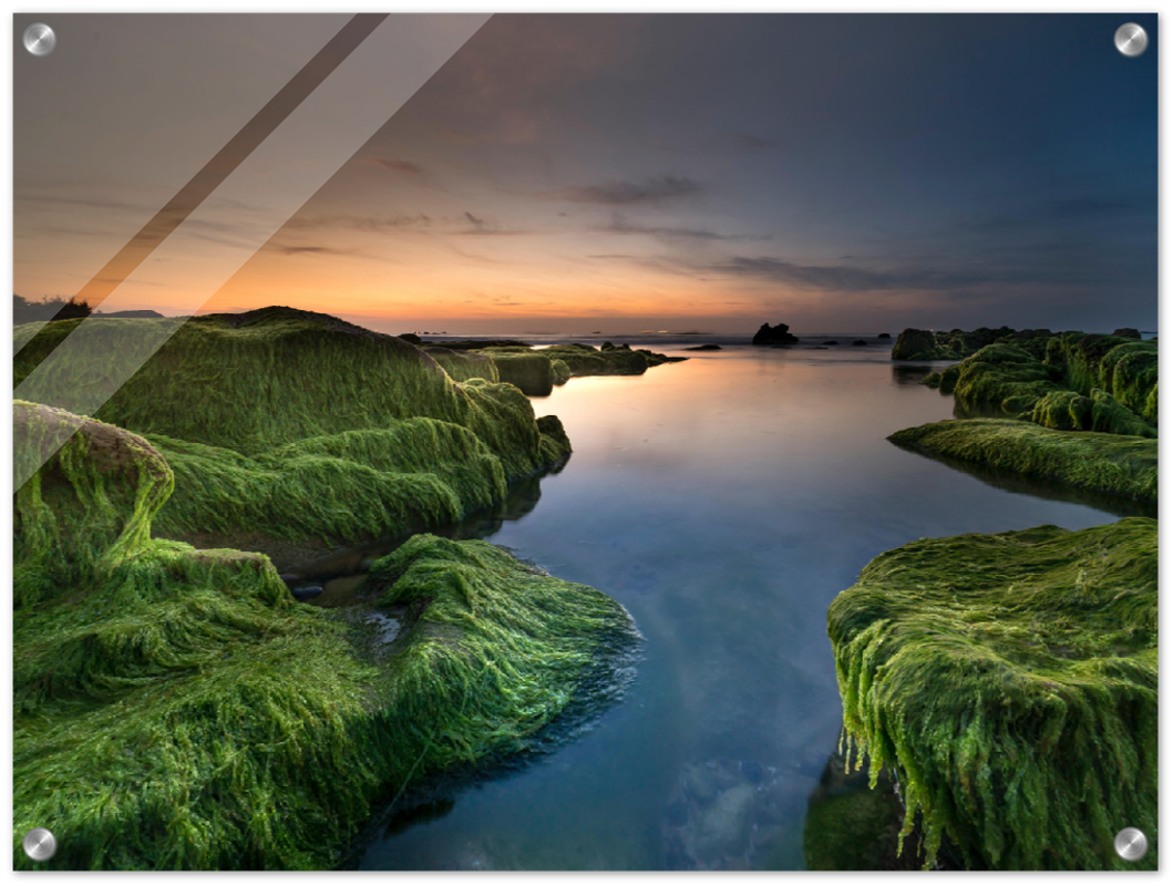 Mossy Beach - Print - MetalPlex