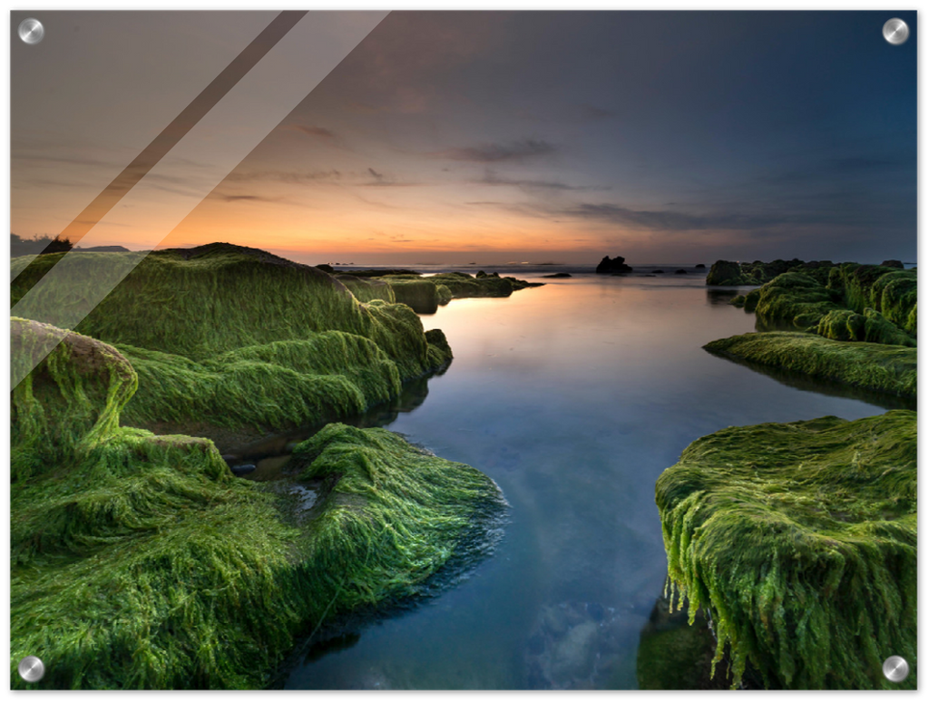 Mossy Beach - Print - MetalPlex