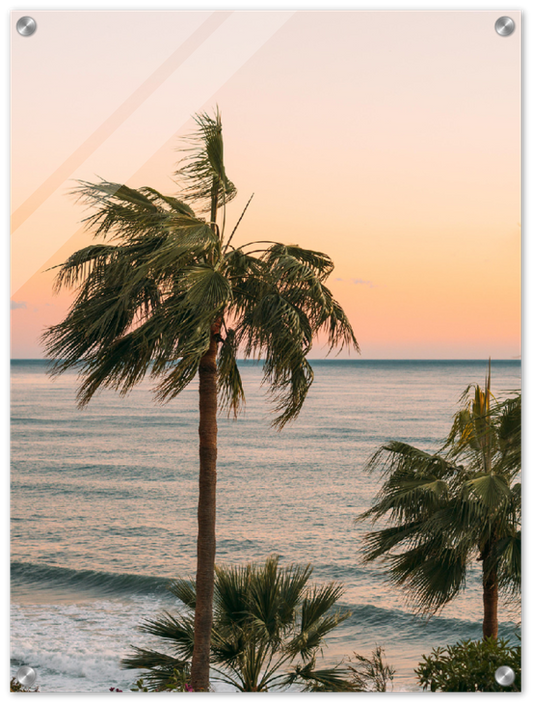 Ocean Palm Trees - Print