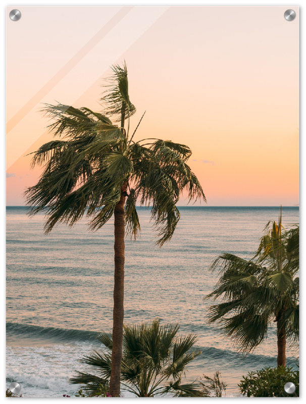 Ocean Palm Trees - Print - MetalPlex