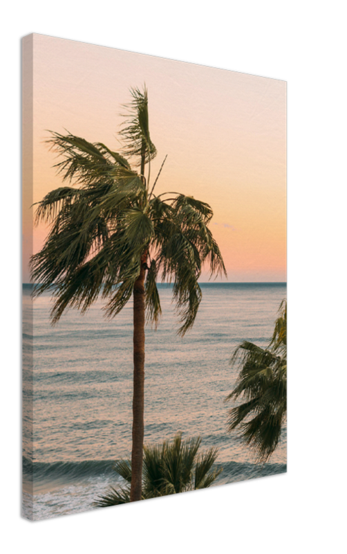 Ocean Palm Trees - Print - MetalPlex