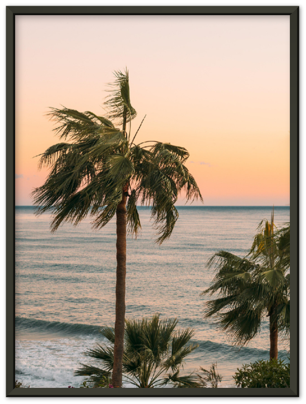 Ocean Palm Trees - Print - MetalPlex