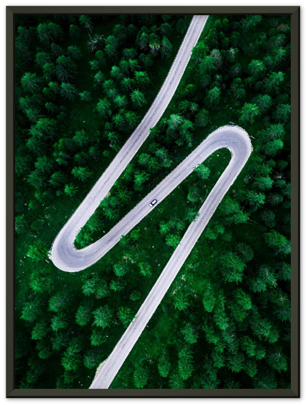 Road Through Forest - Print - MetalPlex