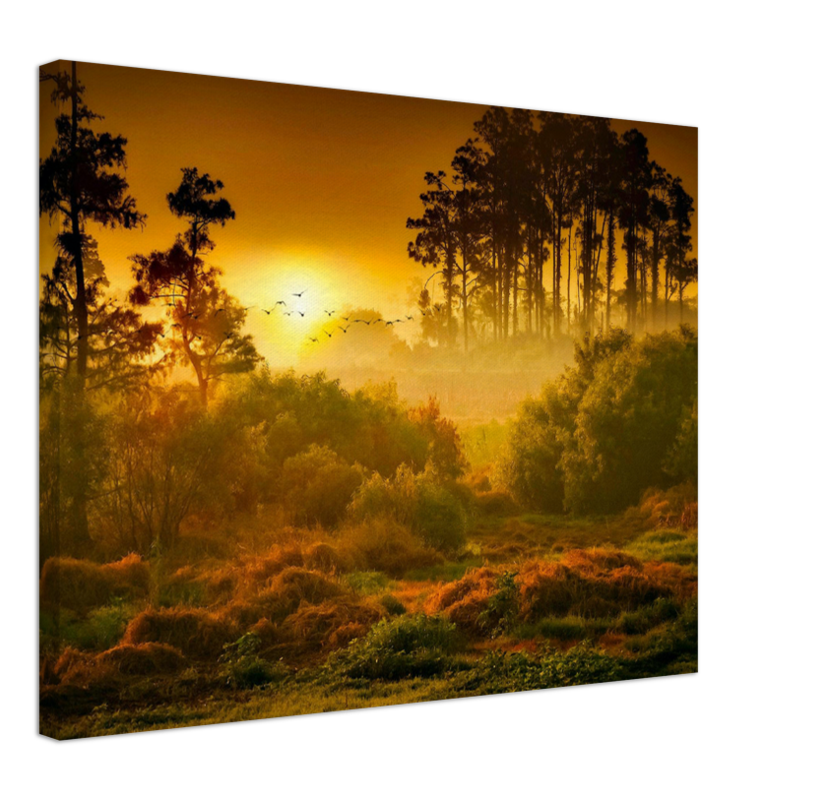 Sunset Forest - Print - MetalPlex