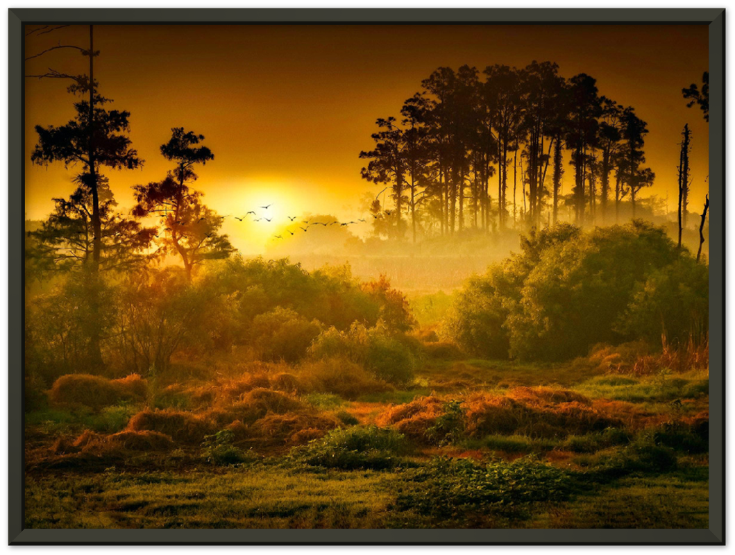 Sunset Forest - Print - MetalPlex