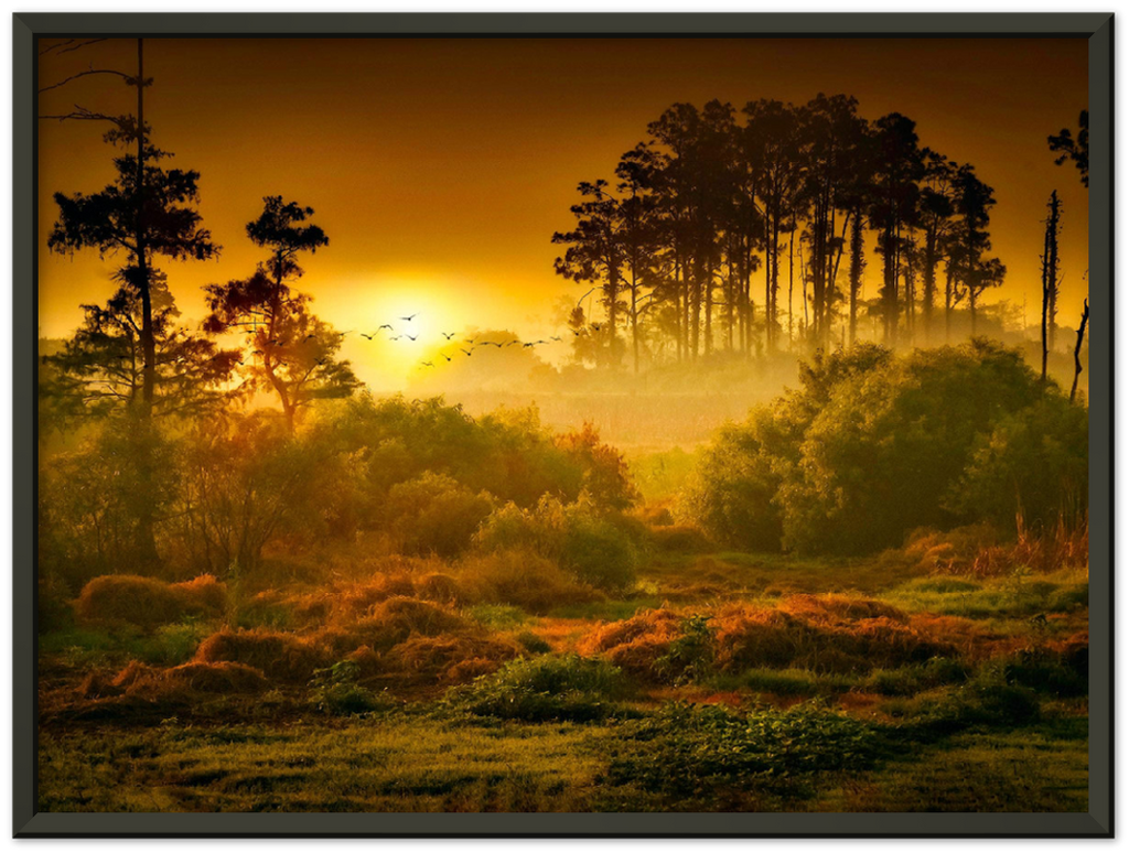 Sunset Forest - Print - MetalPlex