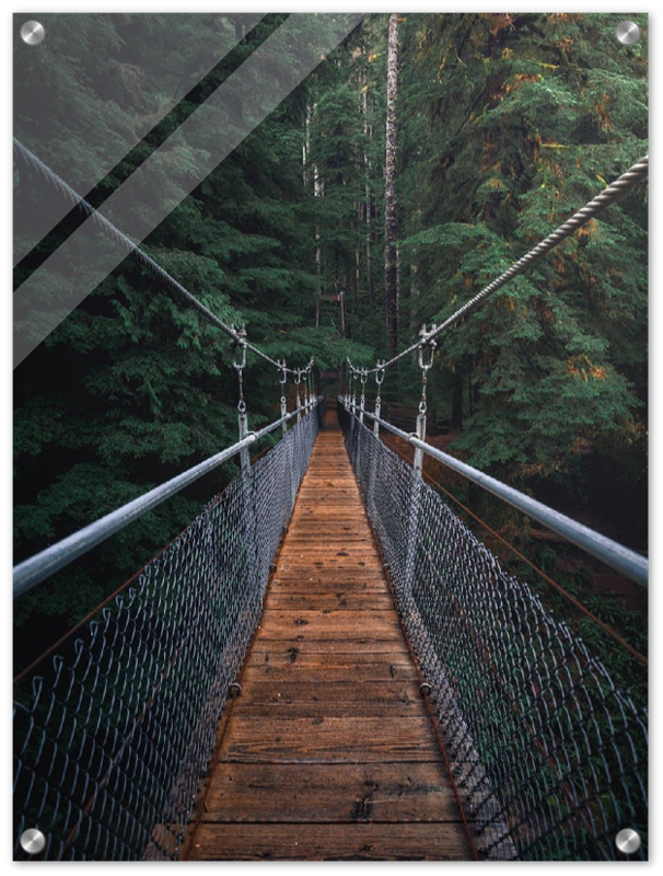 Suspension Bridge - Print - MetalPlex