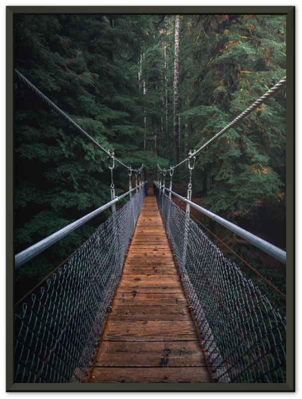Suspension Bridge - Print - MetalPlex