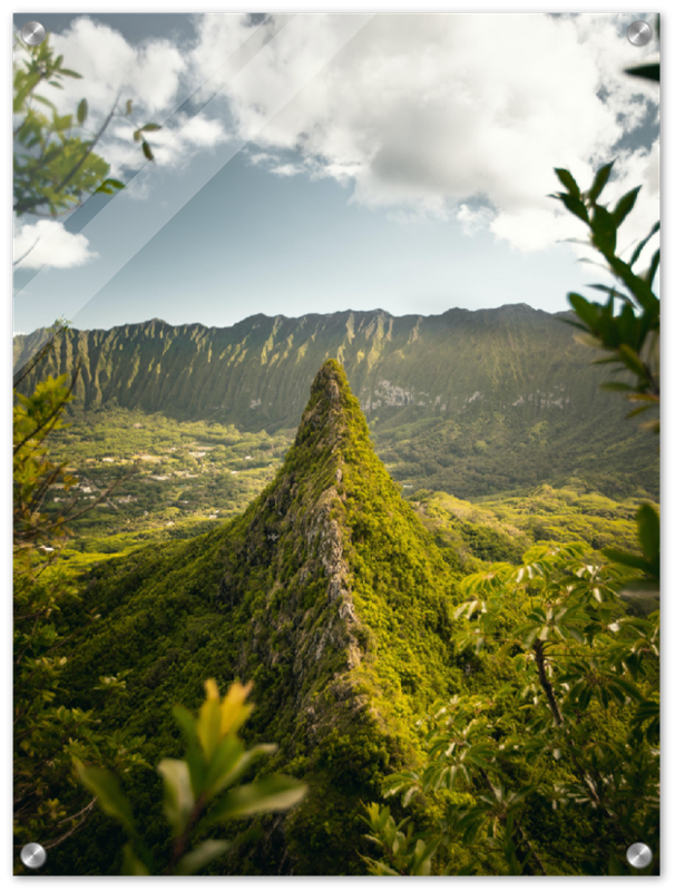 The Big Island - Print - MetalPlex