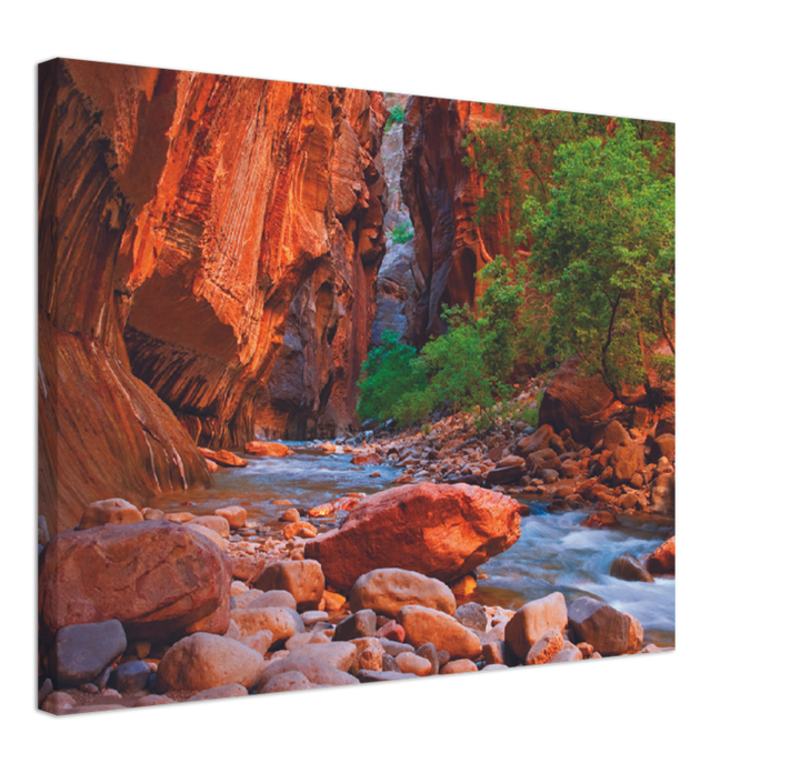 Virgin River, Zion National Park - Print - MetalPlex