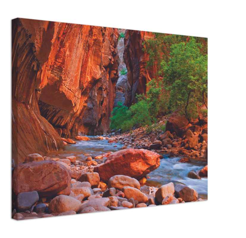 Virgin River, Zion National Park - Print - MetalPlex