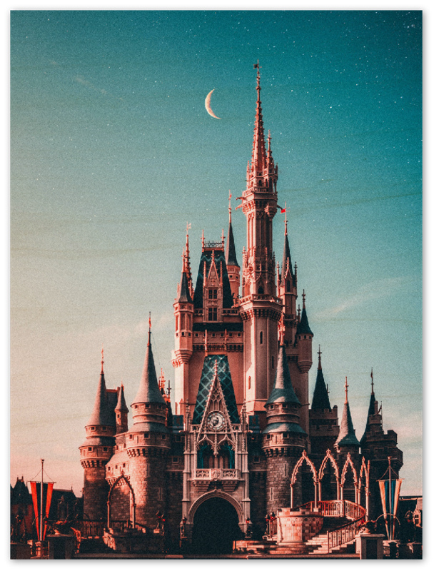 Walt Disney Castle - Print - MetalPlex